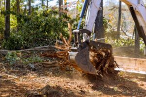 stump removal Adelaide Hills