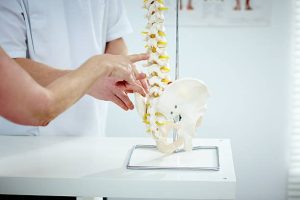 Adelaide chiropractor