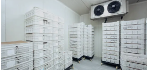 industrial refrigeration company 