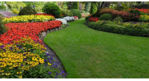 NomadicHomeGarden landscapers