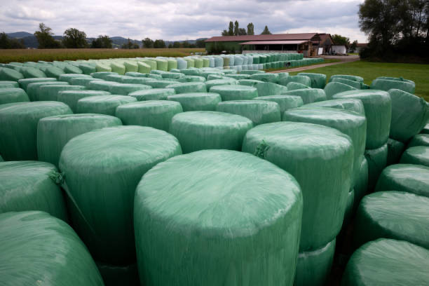silage film