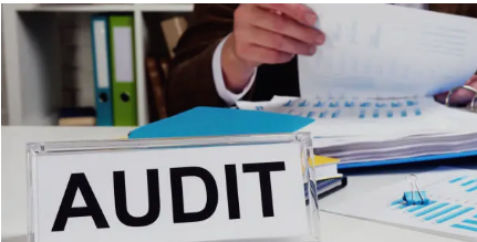 NDIS audit support
