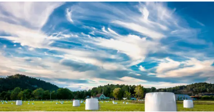 silage plastic